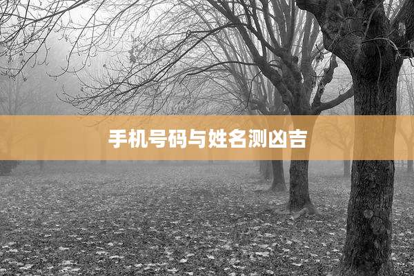 手机号码与姓名测凶吉
