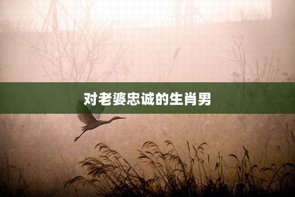 对老婆忠诚的生肖男