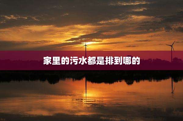 家里的污水都是排到哪的