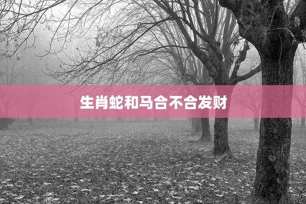 生肖蛇和马合不合发财