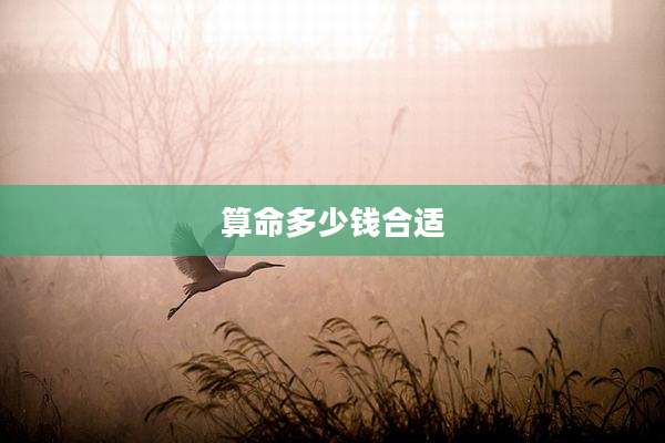 算命多少钱合适