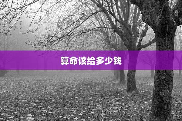 算命该给多少钱