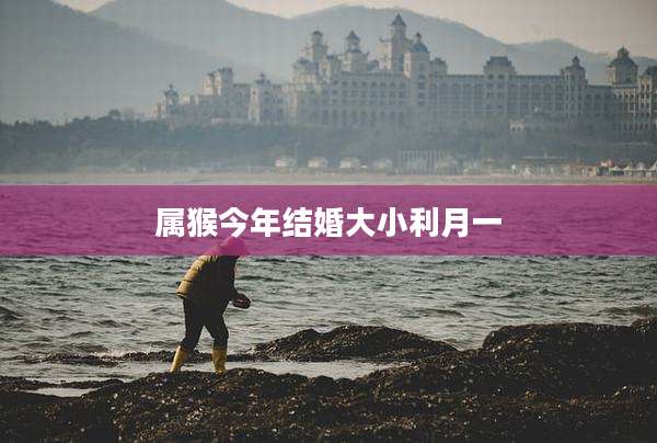 属猴今年结婚大小利月一