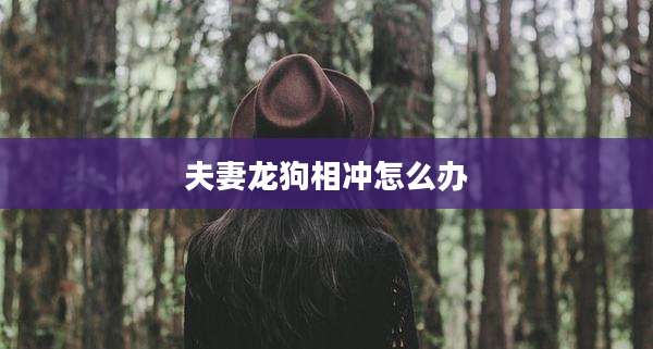夫妻龙狗相冲怎么办