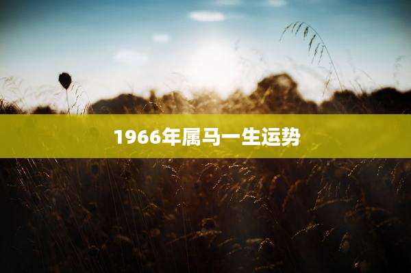 1966年属马一生运势