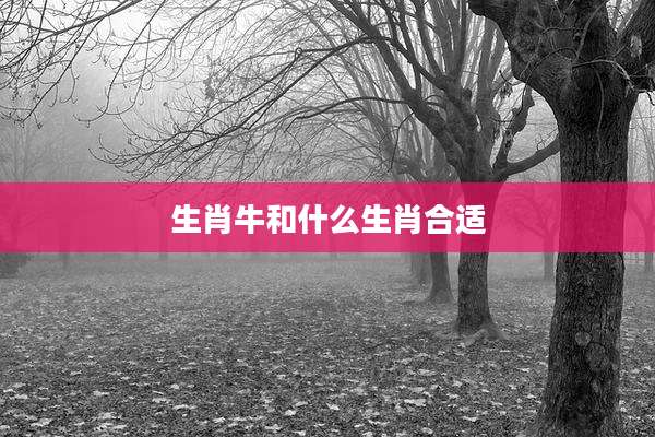 生肖牛和什么生肖合适