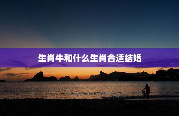生肖牛和什么生肖合适结婚