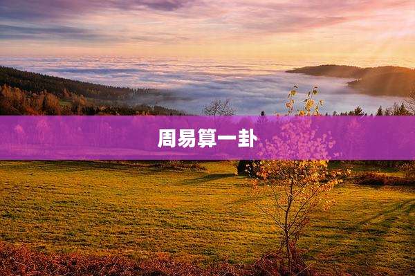 周易算一卦