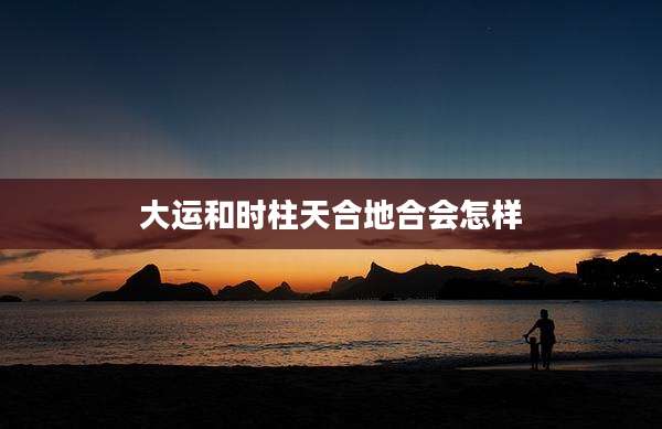 大运和时柱天合地合会怎样
