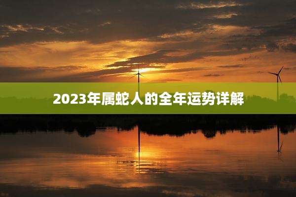 2023年属蛇人的全年运势详解