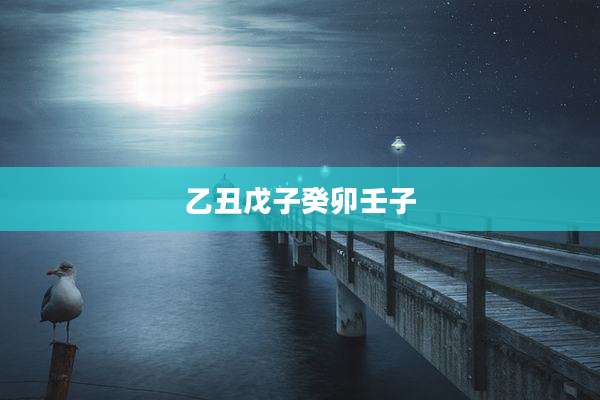 乙丑戊子癸卯壬子