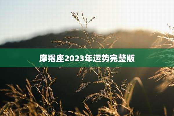 摩羯座2023年运势完整版