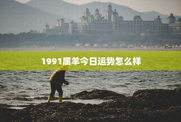 1991属羊今日运势怎么样