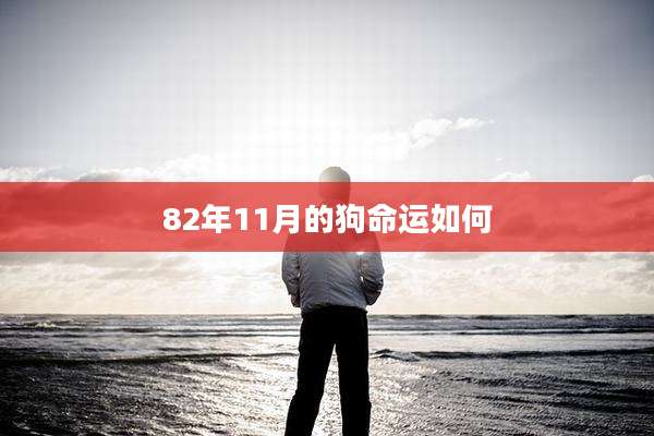 82年11月的狗命运如何