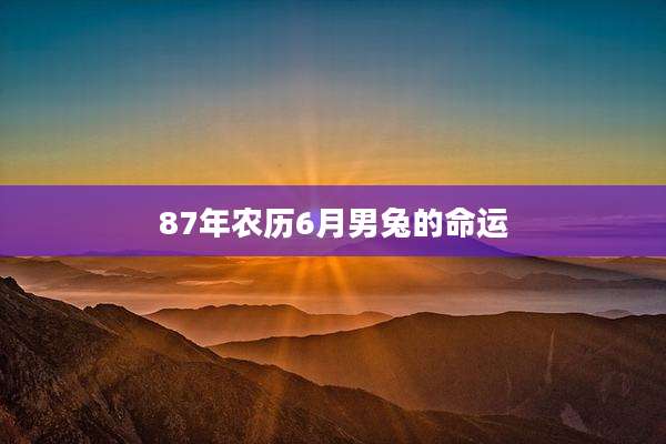 87年农历6月男兔的命运