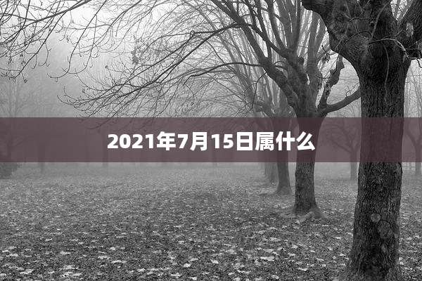 2021年7月15日属什么
