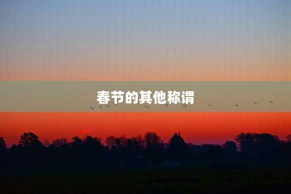 春节的其他称谓