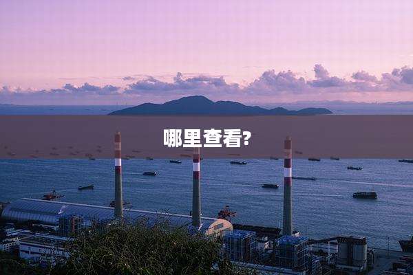哪里查看?