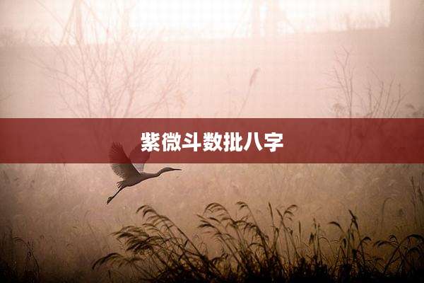 紫微斗数批八字