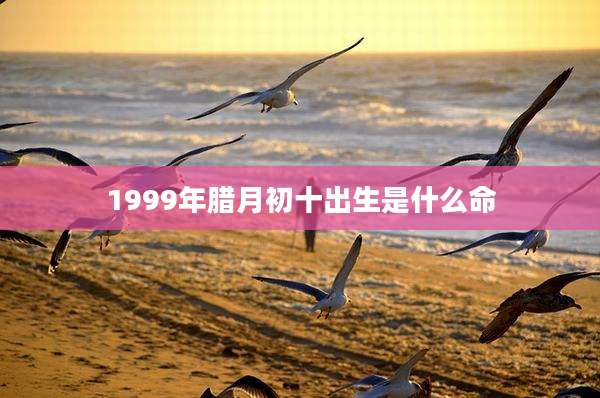 1999年腊月初十出生是什么命