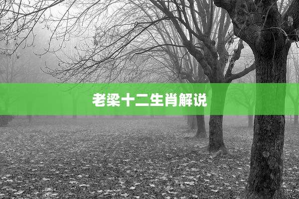 老梁十二生肖解说