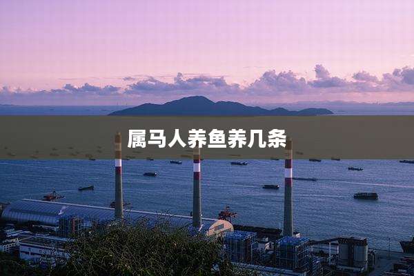 属马人养鱼养几条