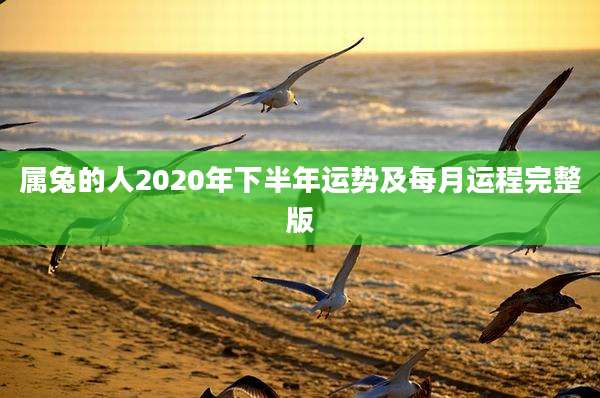 属兔的人2020年下半年运势及每月运程完整版