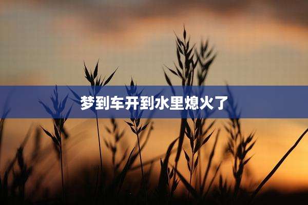 梦到车开到水里熄火了