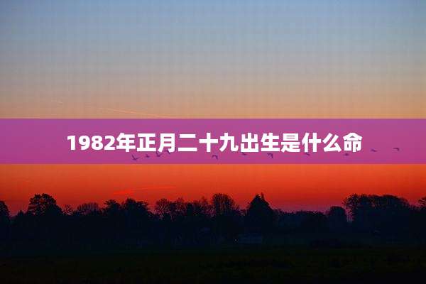 1982年正月二十九出生是什么命