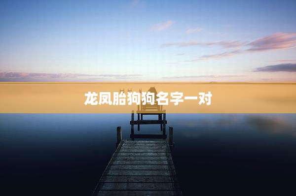 龙凤胎狗狗名字一对