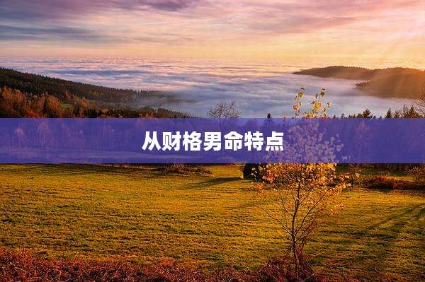 从财格男命特点