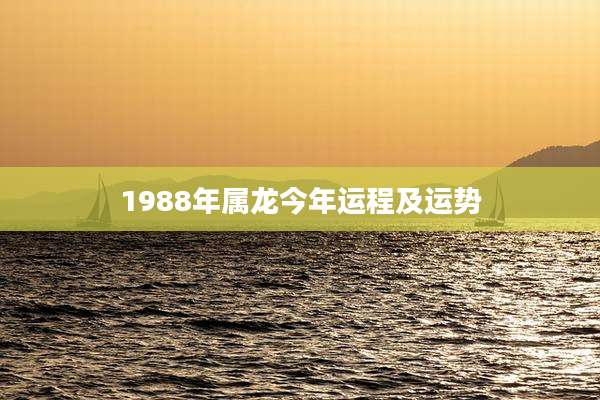1988年属龙今年运程及运势