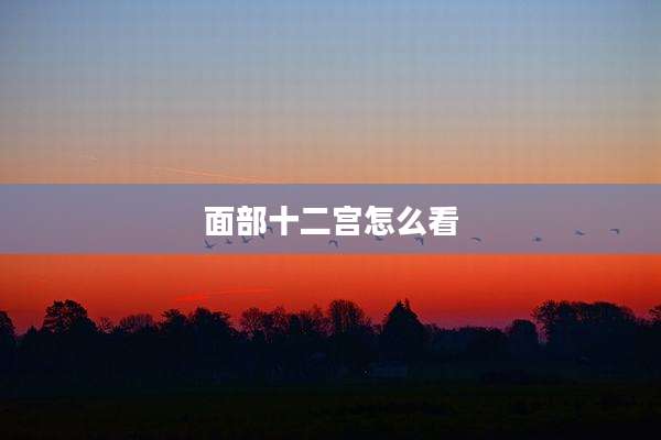 面部十二宫怎么看