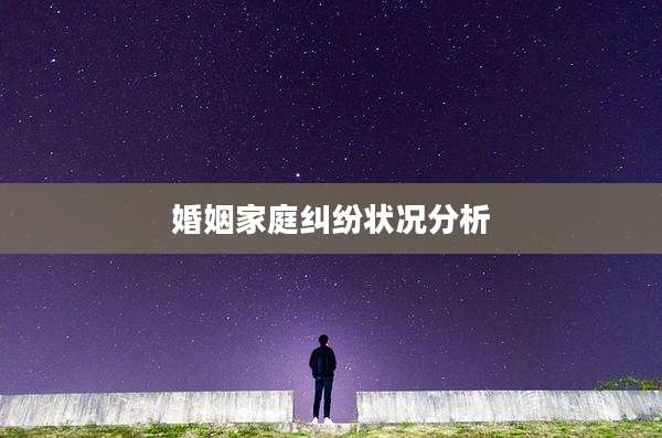 婚姻家庭纠纷状况分析