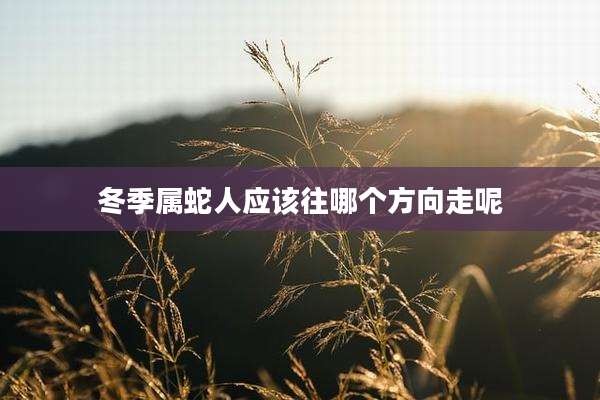 冬季属蛇人应该往哪个方向走呢