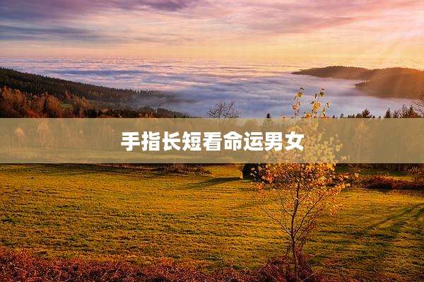 手指长短看命运男女