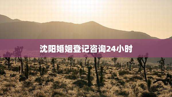 沈阳婚姻登记咨询24小时