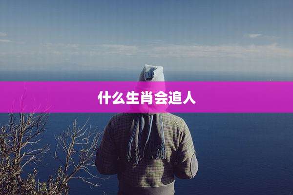 什么生肖会追人