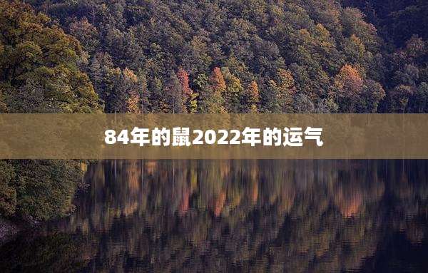 84年的鼠2022年的运气
