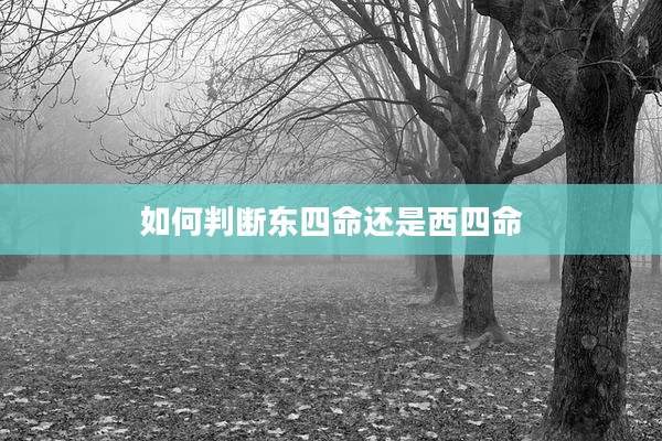 如何判断东四命还是西四命