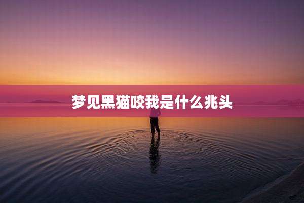 梦见黑猫咬我是什么兆头