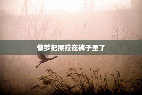 做梦把屎拉在裤子里了