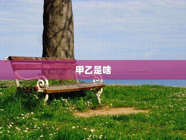 甲乙是啥