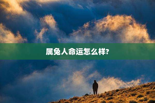 属兔人命运怎么样?