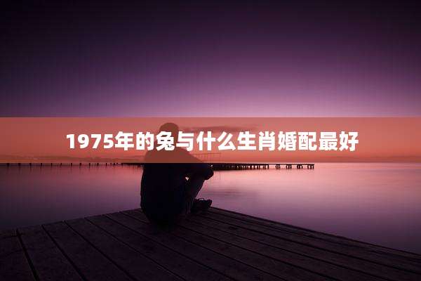 1975年的兔与什么生肖婚配最好