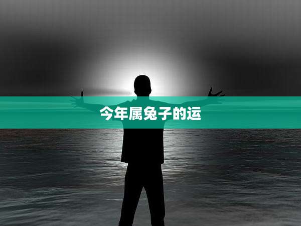 今年属兔子的运