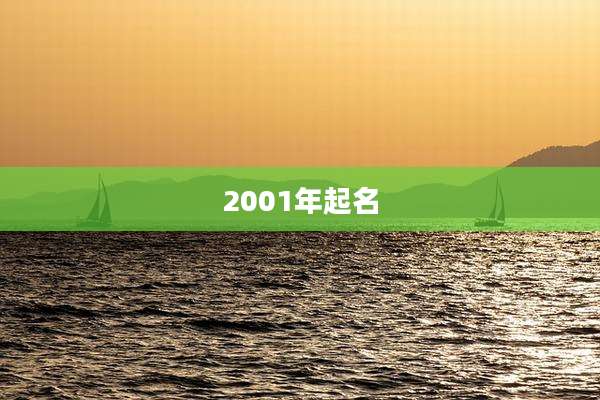 2001年起名