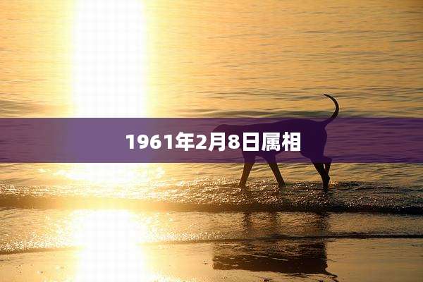 1961年2月8日属相