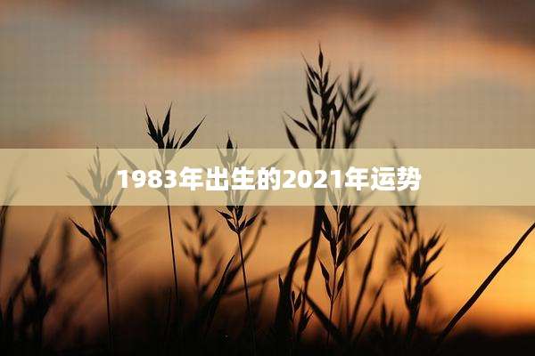 1983年出生的2021年运势