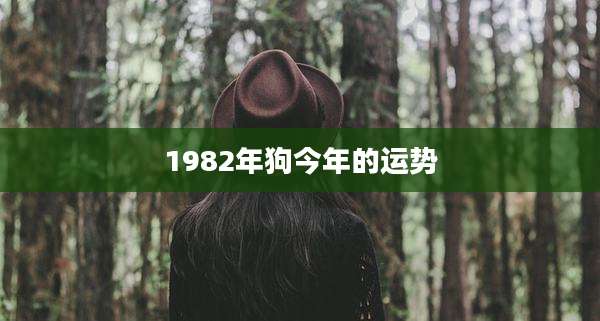 1982年狗今年的运势